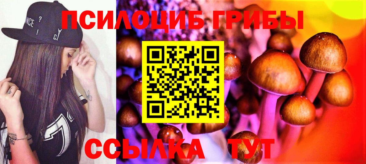 Псилоцибиновые грибы Magic Shrooms  Вход с VPN  Галлюциногенные грибы Psilocybe  Наро-Фоминск 