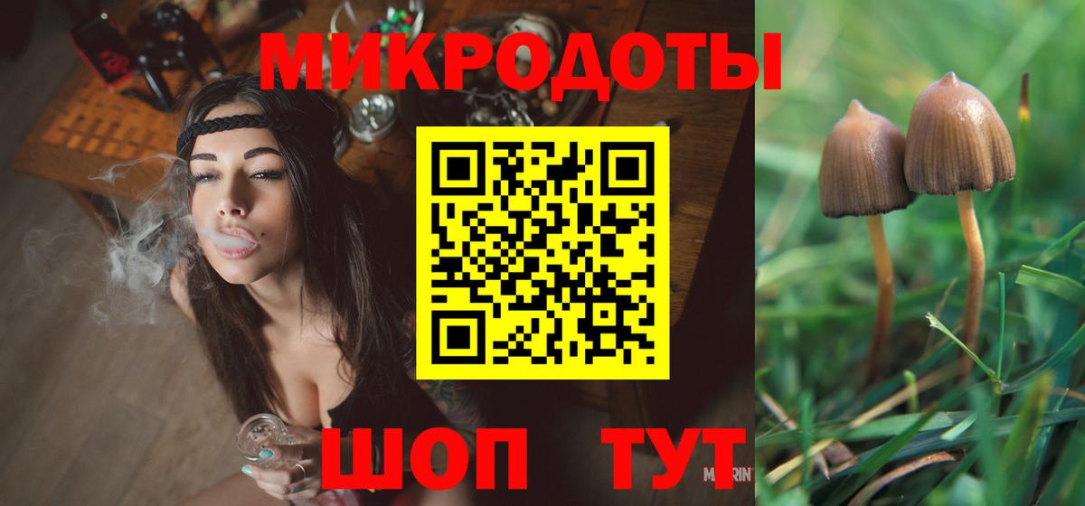 Псилоцибиновые грибы Cubensis Наро-Фоминск